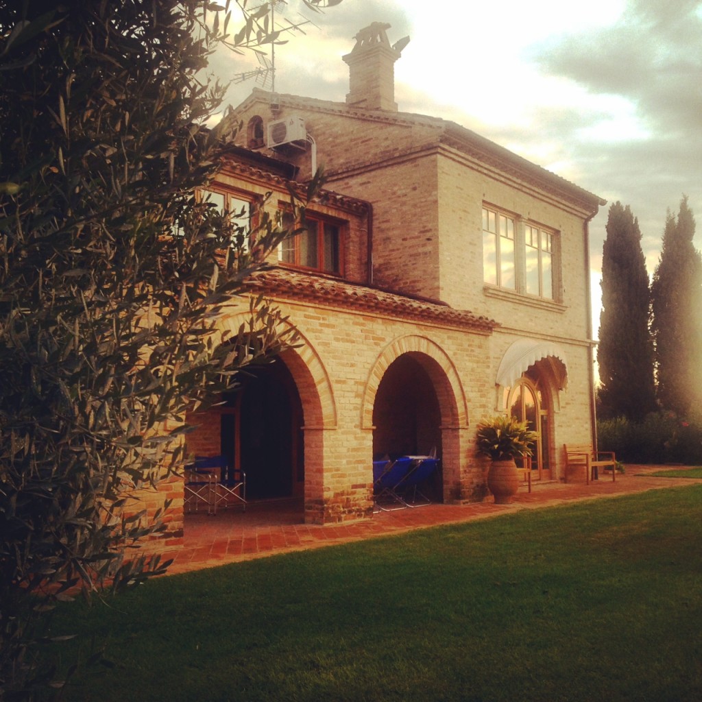 How to stay in Italy? at my home! ... among the olive trees