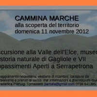 B&B Italy MARCHE “la casa tra gli ulivi” consiglia:  “CAMMINA MARCHE”  domenica 11 Novembre 2012      VALLE DELL’ELCE     MUSEO DI STORIA NATURALE DI GAGLIOLE     APPASSIMENTI APERTI SERRAPETRONA