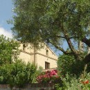 dalbed&breakfast“la casa tra gli ulivi”dalle Marche…scopri l’Infinito!